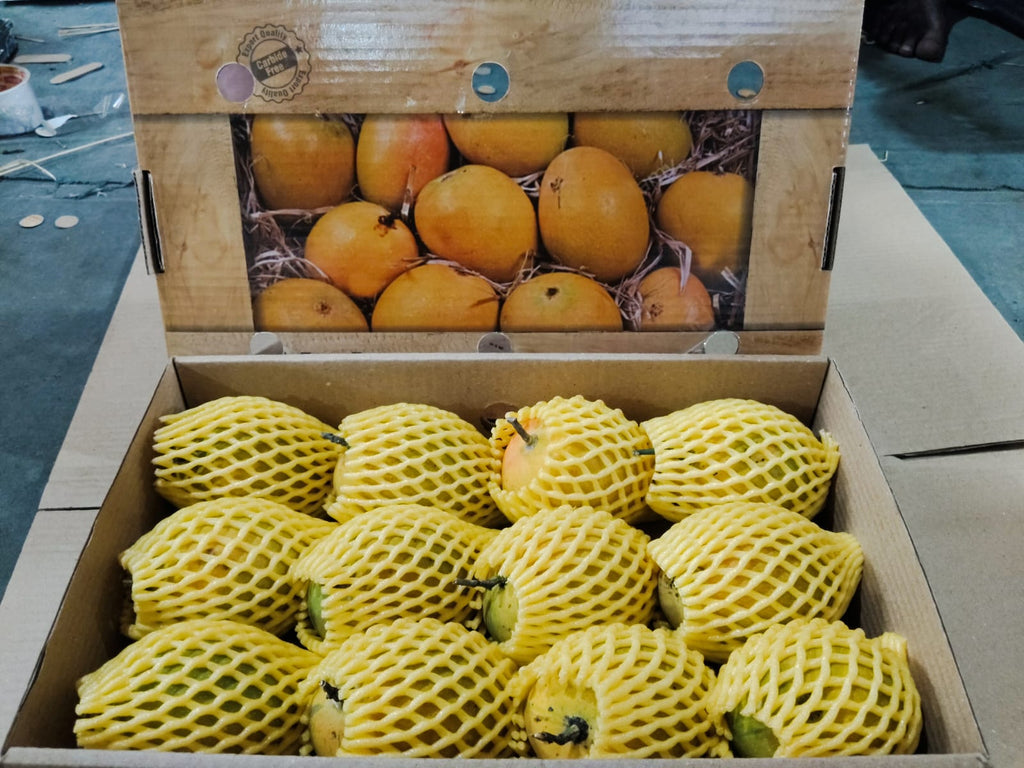 Take Agro Alphonso AAA Mango