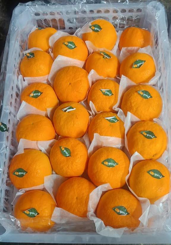 Orange Manderin 60C