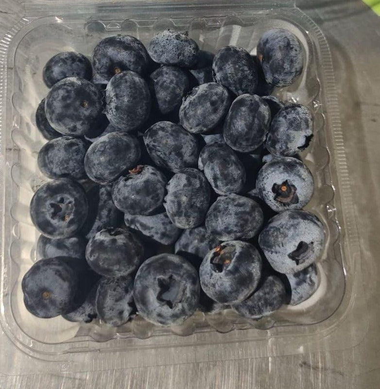 Blueberry 16mm+(12 Punnet 1.5 kg)