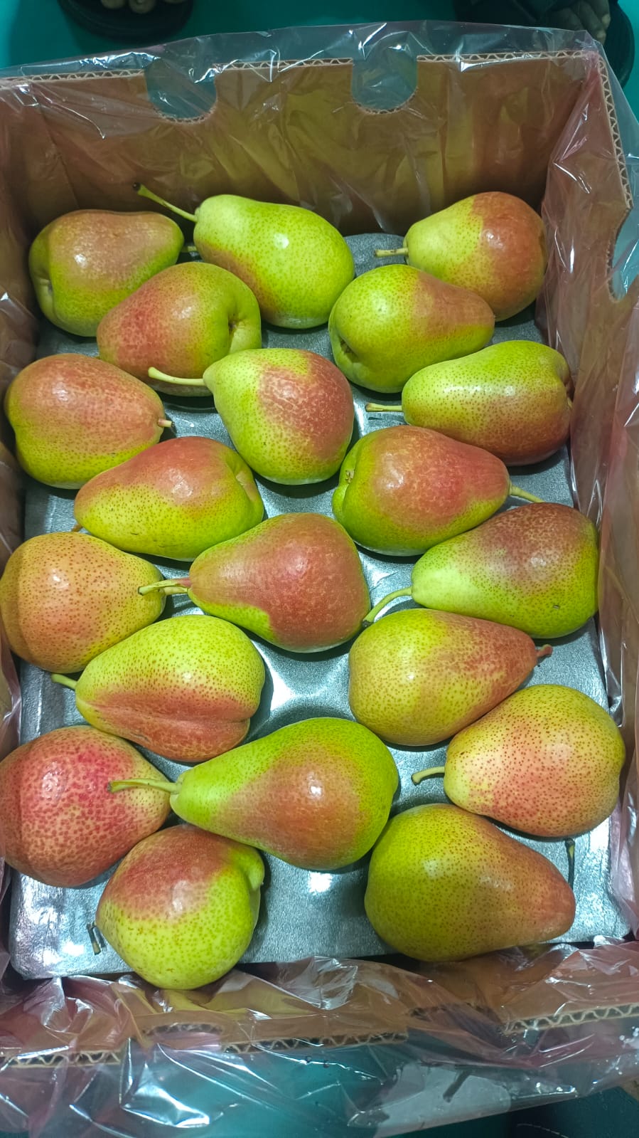 Red Beauty Pear 70C