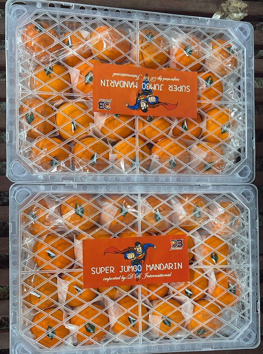 Orange Manderin 60C