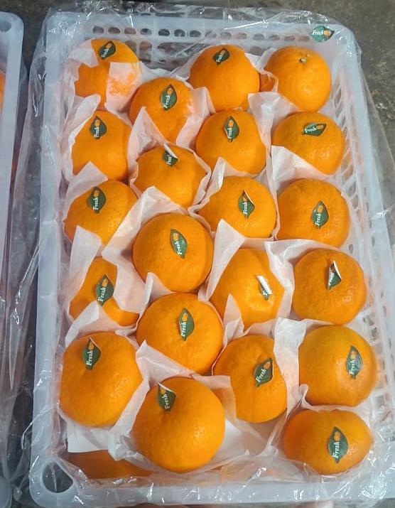 Orange Manderin 60C