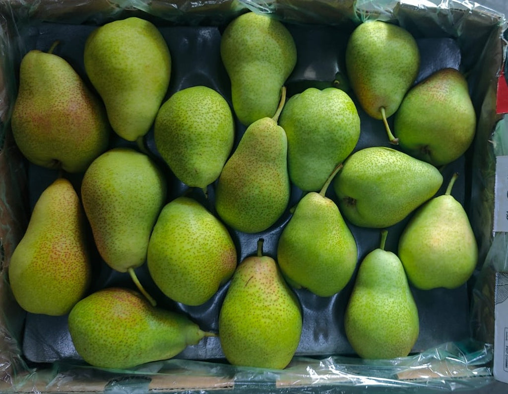 Green beauty Pear 70C