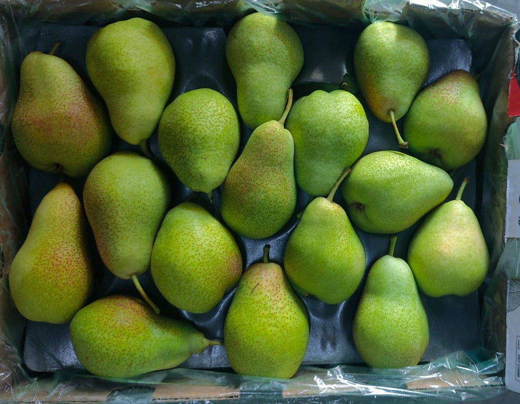 Green beauty Pear 70C