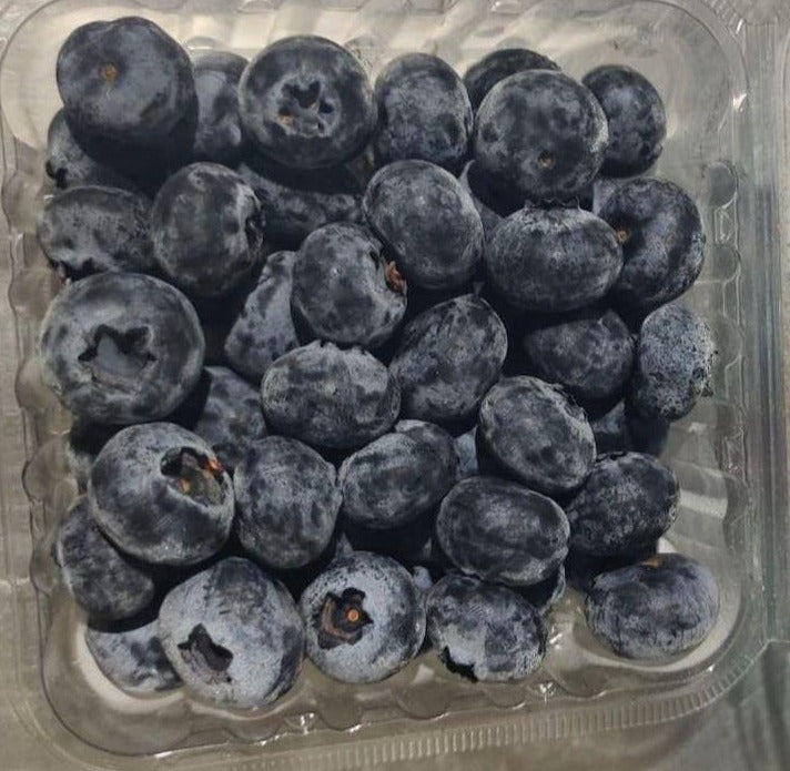 Blueberry 16mm+(12 Punnet 1.5 kg)