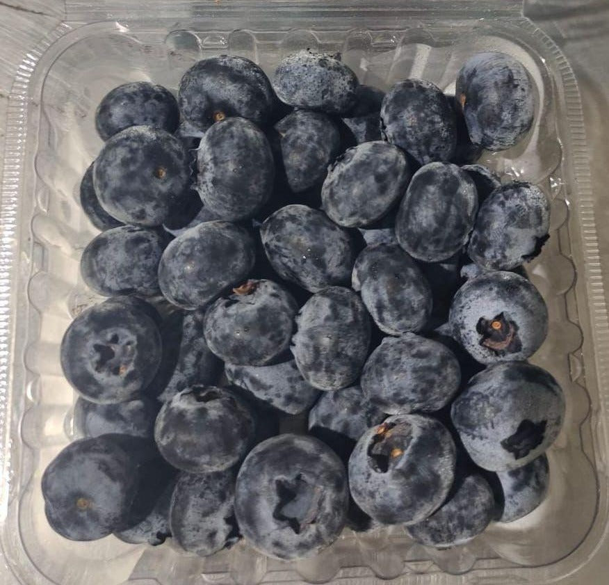 Blueberry 16mm+(12 Punnet 1.5 kg)