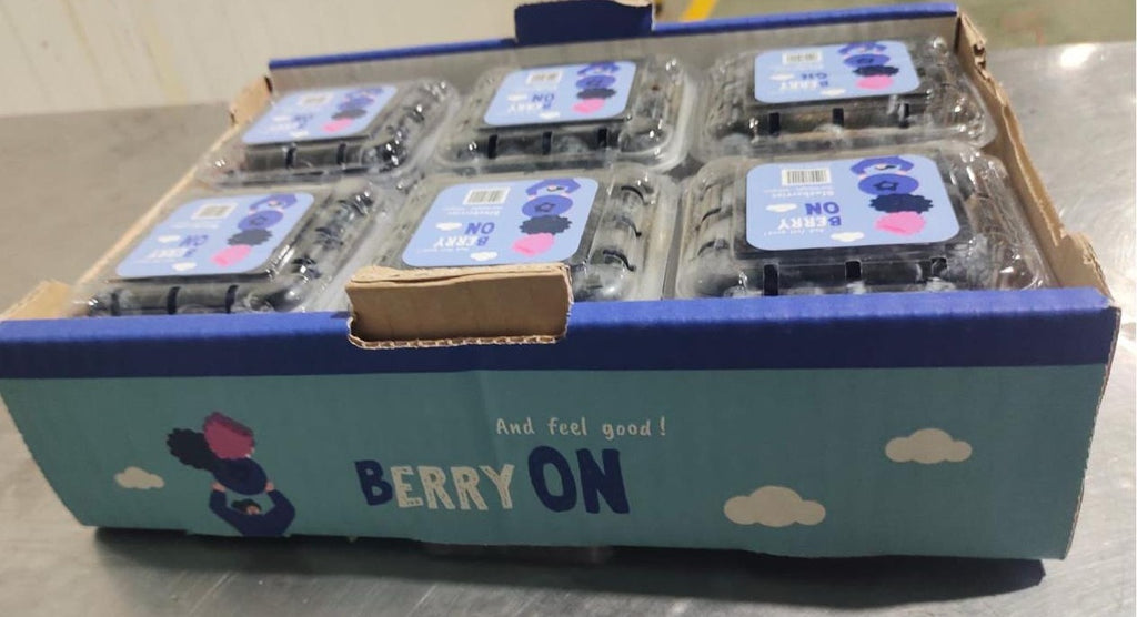 Blueberry 16mm+(12 Punnet 1.5 kg)