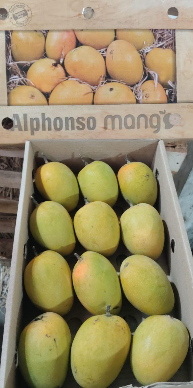 Take Agro Alphonso AA Mango