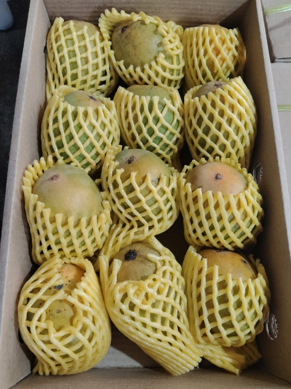 Take Agro Alphonso AAA Mango