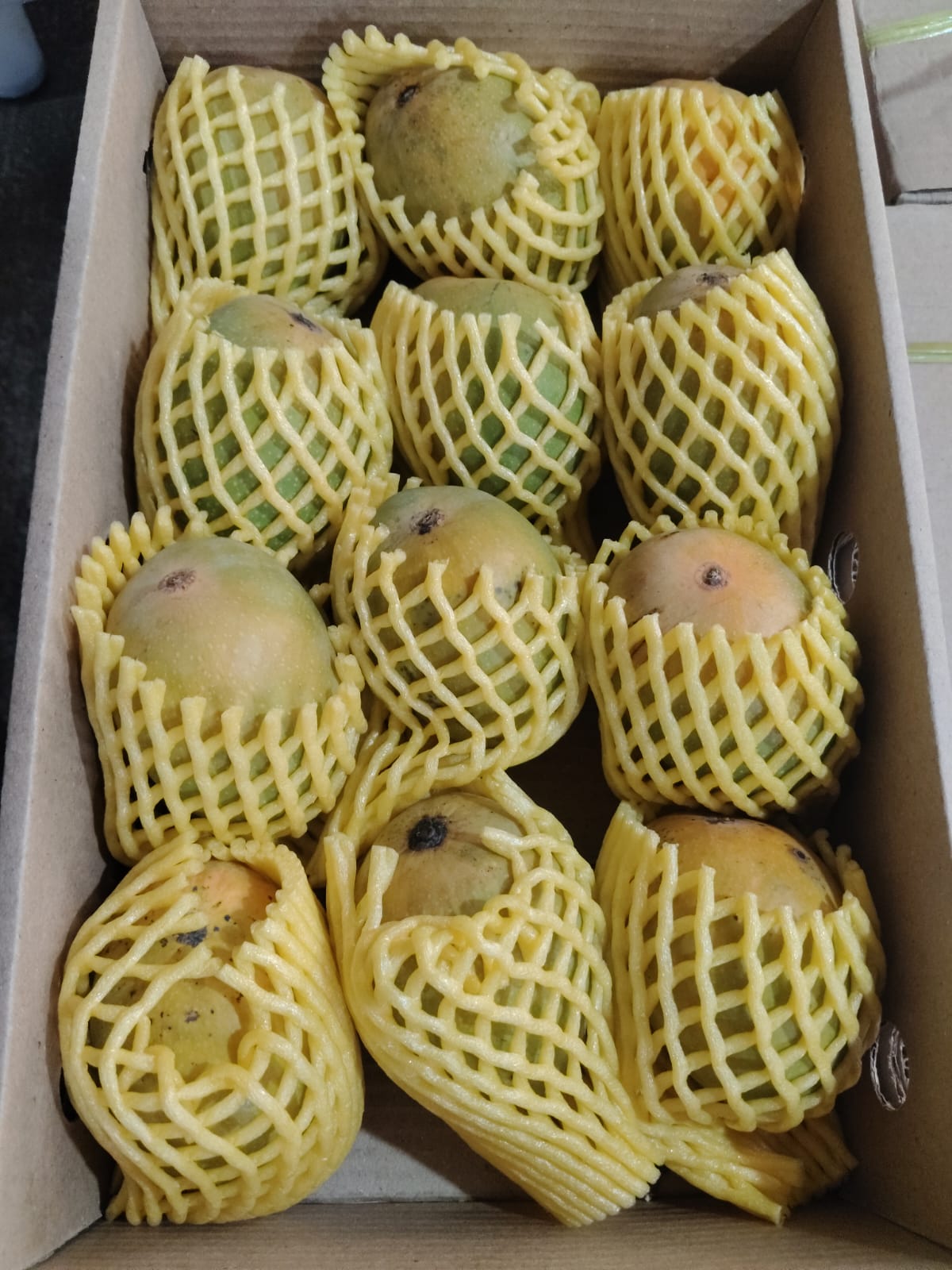 Take Agro Alphonso AA Mango