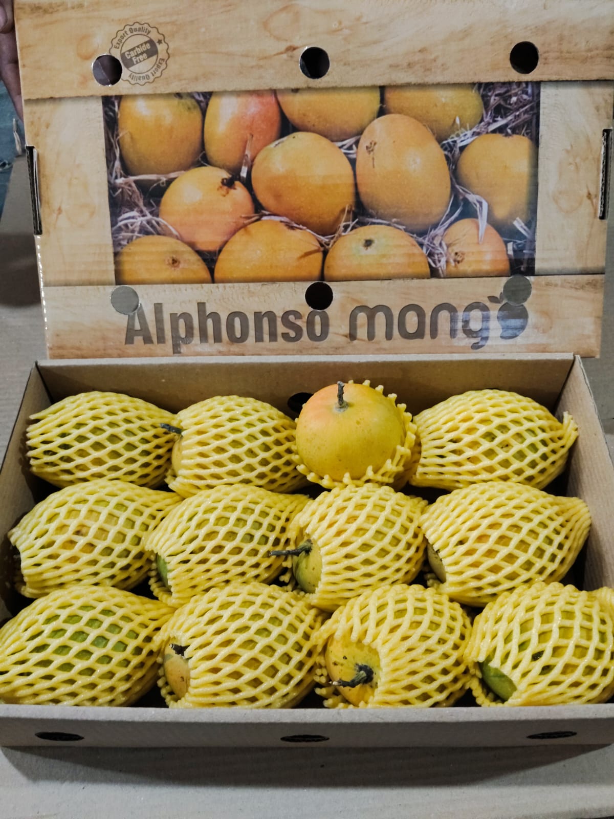 Take Agro Alphonso AA Mango